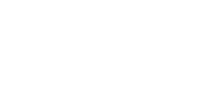 Logo-Vida-Pet-Plásticos-SinFondo-4